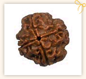 Four Mukhi