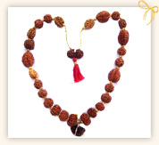 Rudraksha Malas