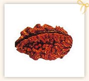 Rudraksha Therapy