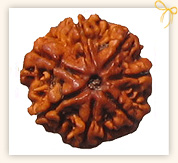 Seven Mukhi