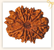 Ten Mukhi