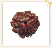 Three Mukhi