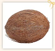 Coconut