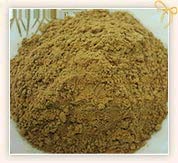 Botanical Description of Sandalwood